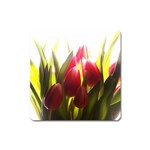 5 Magnet (Square)