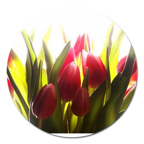 5 Magnet 5  (Round) from ArtsNow.com Front