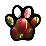 5 Magnet (Paw Print)