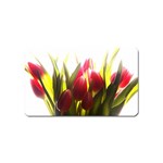 5 Magnet (Name Card)