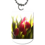 5 Dog Tag (One Side)