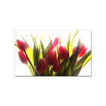 5 Sticker Rectangular (10 pack)