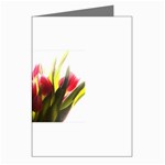5 Greeting Cards (Pkg of 8)