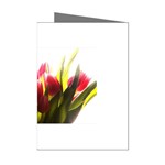 5 Mini Greeting Cards (Pkg of 8)