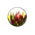 5 Hat Clip Ball Marker (10 pack)