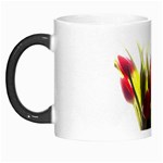 5 Morph Mug