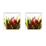 5 Cufflinks (Square)