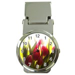 5 Money Clip Watch