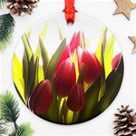 5 Round Ornament (Two Sides)