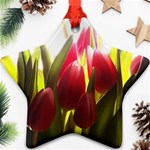 5 Star Ornament (Two Sides)