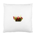 5 Cushion Case (Two Sides)