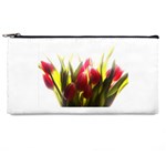 5 Pencil Case