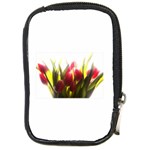 5 Compact Camera Leather Case