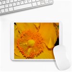 15 Small Mousepad