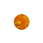 15 1  Mini Button