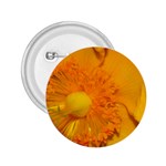 15 2.25  Button