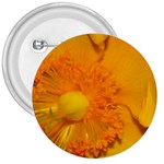 15 3  Button
