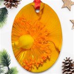 15 Ornament (Oval)