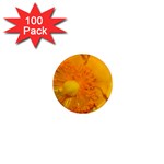 15 1  Mini Magnet (100 pack) 