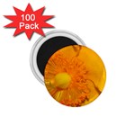 15 1.75  Magnet (100 pack) 