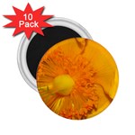 15 2.25  Magnet (10 pack)