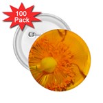 15 2.25  Button (100 pack)