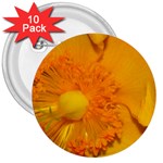15 3  Button (10 pack)