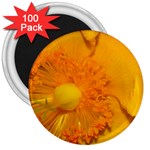 15 3  Magnet (100 pack)