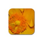 15 Rubber Square Coaster (4 pack)