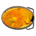 15 Belt Buckle