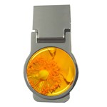 15 Money Clip (Round)