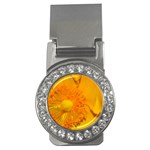 15 Money Clip (CZ)