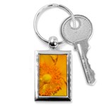 15 Key Chain (Rectangle)