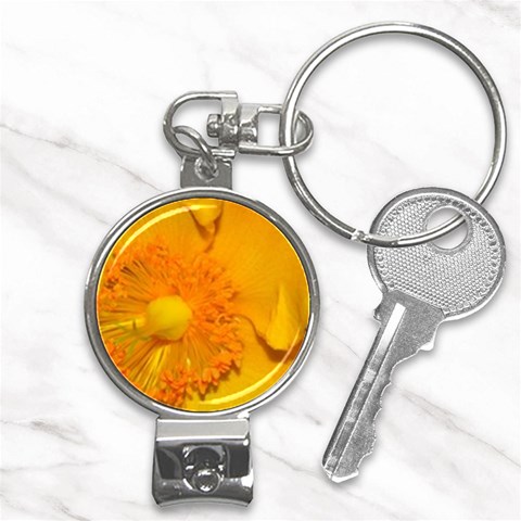 15 Nail Clippers Key Chain from ArtsNow.com Front