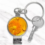 15 Nail Clippers Key Chain