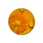 15 Rubber Coaster (Round)