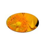 15 Sticker (Oval)