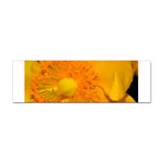 15 Sticker (Bumper)