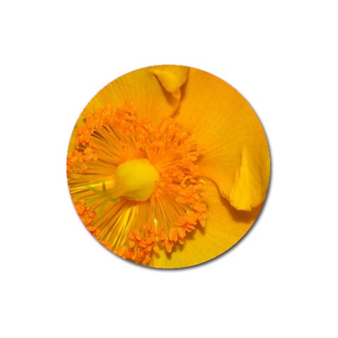 15 Magnet 3  (Round) from ArtsNow.com Front