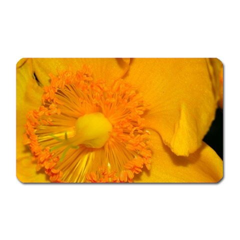 15 Magnet (Rectangular) from ArtsNow.com Front