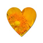 15 Magnet (Heart)