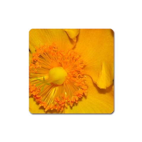 15 Magnet (Square) from ArtsNow.com Front