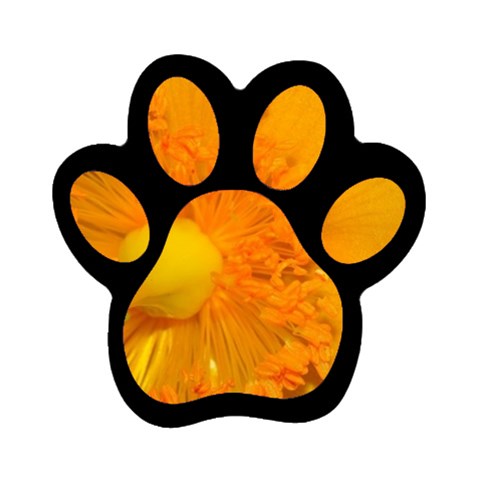 15 Magnet (Paw Print) from ArtsNow.com Front