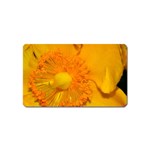 15 Magnet (Name Card)