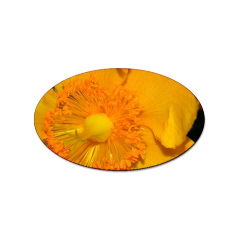 15 Sticker Oval (10 pack) from ArtsNow.com Front