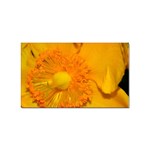 15 Sticker Rectangular (100 pack)