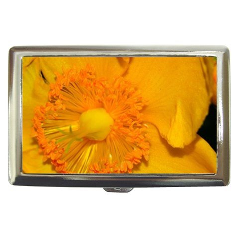 15 Cigarette Money Case from ArtsNow.com Front