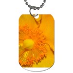 15 Dog Tag (Two Sides)