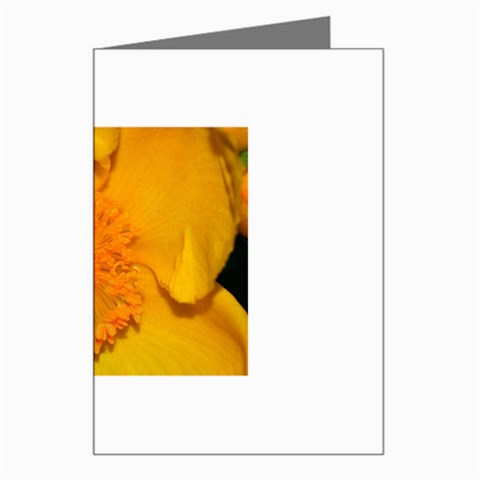 15 Greeting Card from ArtsNow.com Left