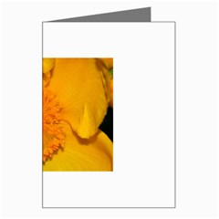 15 Greeting Card from ArtsNow.com Left